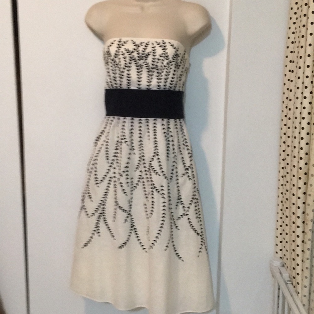 Ann Taylor Strapless Party Dress